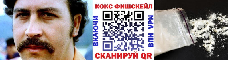 дарнет шоп  Куровское  COCAIN FishScale 